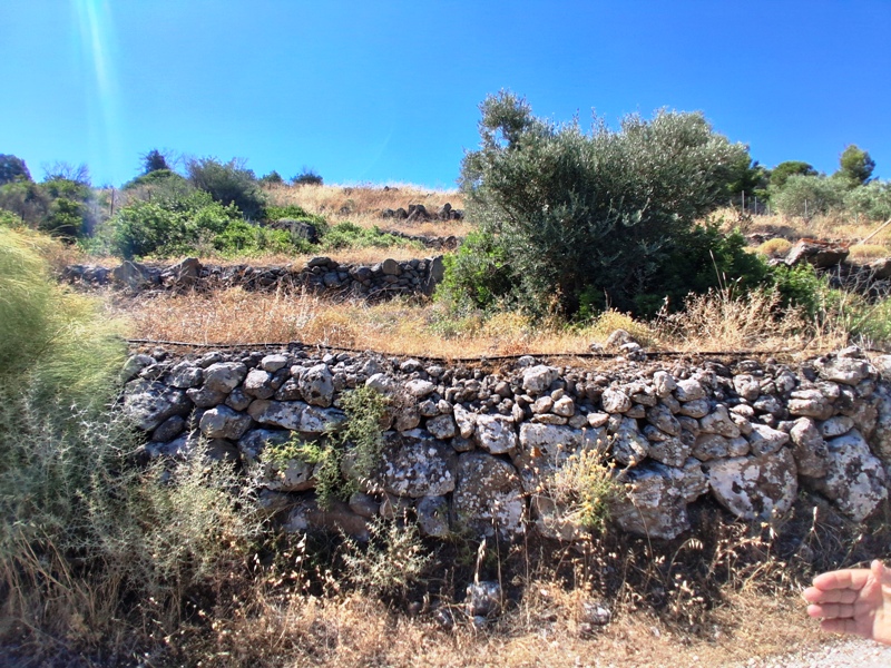 Κωδικός 87735 Βροχεία Θέση "Κουταλού ' Οικόπεδο 8000 τ.μ. κτίζει 240 τ.μ. με απεριόριστη θέα θάλασσας. Τιμή 250,000 ευρώ 20260701_103420.jpg