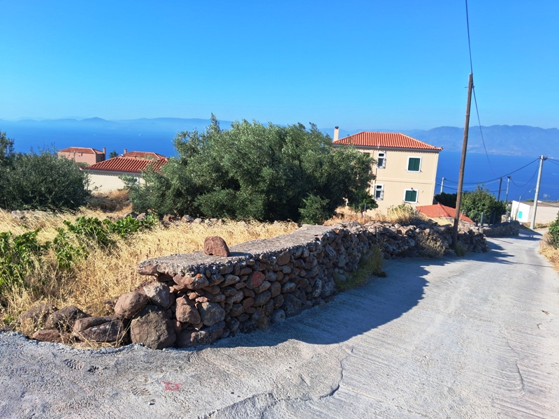 Κωδικός 87743 Σφεντούρι Οικόπεδο 3165 τ.μ. εντός οικισμού με πολλά μέτρα δόμησης, και θέα θάλασσας. Τιμή 300.000 20260804_091222.jpg